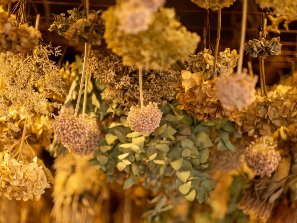 神戸市の花屋咲桜の1000種類以上ある美しいドライフラワーで作られたドライブーケ