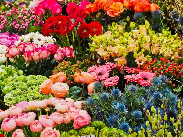 神戸市の花屋咲桜のたくさんの生花