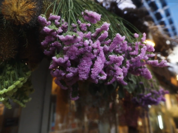 神戸市の花屋咲桜のディスプレイされている紫色のお花